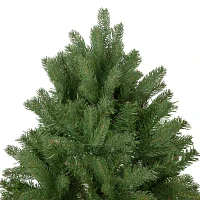 Northlight Full Sierra Noble Artificial Unlit 6 1/2 Foot Fir Christmas Tree