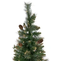 Northlight Yorkshire Pencil Artificial  Clear Lights 7 Foot Pre-Lit Pine Christmas Tree