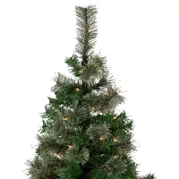 Northlight Oregon Cashmere Artificial  Clear Lights 6 1/2 Foot Pre-Lit Pine Christmas Tree