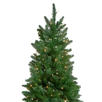 Northlight Altoona Slim Artificial Clear Lights 7 Foot Pre-Lit Pine Christmas Tree