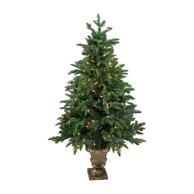 Northlight Potted Sierra Norway Spruce Slim Artificial Clear Lights 4 1/2 Foot Pre-Lit Christmas Tree