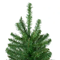 Northlight Winona Artificial  Unlit 6 1/2 Foot Fir Christmas Tree