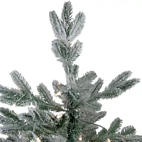 Northlight Whistler Noble Artificial Clear Lights 4 1/2 Foot Flocked Fir Christmas Tree