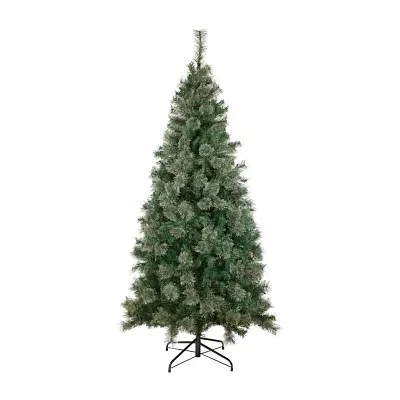 Northlight Medium Oregon Cashmere Artificial  Unlit 6 1/2 Foot Pine Christmas Tree