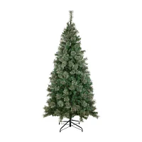 Northlight Medium Oregon Cashmere Artificial  Unlit 6 1/2 Foot Pine Christmas Tree