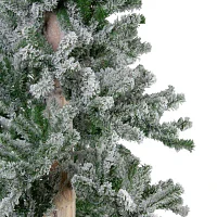 Northlight Alartificial Unlit 6 Foot Pine Christmas Tree