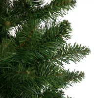 Northlight North River Pencil Artificial  Unlit 6 Foot Pine Christmas Tree