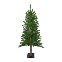 Northlight Alartificial Unlit 4 Foot Pine Christmas Tree