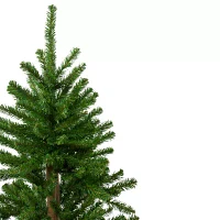 Northlight Alartificial Unlit 4 Foot Pine Christmas Tree