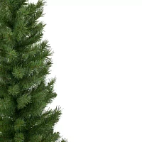 Northlight Potted Virginia Walkway Slim Artificial Unlit 4 Foot Pine Christmas Tree