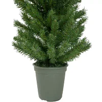 Northlight Potted Virginia Walkway Slim Artificial Unlit 4 Foot Pine Christmas Tree