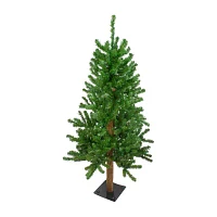 Northlight Alartificial Unlit 4 Foot Pine Christmas Tree