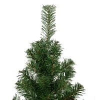 Northlight Oakridge Noble Artificial  Unlit 3 Foot Fir Christmas Tree