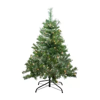 Northlight Mixed Cashmere Medium Artificial Clear Lights 4 Foot Pre-Lit Pine Christmas Tree