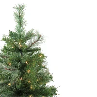 Northlight Mixed Cashmere Medium Artificial Clear Lights 4 Foot Pre-Lit Pine Christmas Tree