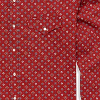 Ely Cattleman Foulard Print Mens Long Sleeve Western Shirt