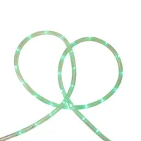 Green LED Commericial Grade Outdoor Christmas Rope Lights on a Spool - 288 ft Clear Tube