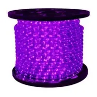 Purple Commercial Grade LED Outdoor Christmas Rope Lights on a Spool - 24 ft