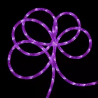 Purple Commercial Grade LED Outdoor Christmas Rope Lights on a Spool - 24 ft