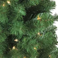 4' x 25'' Pre-Lit Blackwater Fir Artificial Christmas Tree- Clear Lights