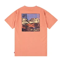 Levi's Big Boys Crew Neck Short Sleeve Graphic T-Shirt
