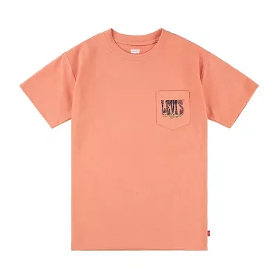 Levi's Big Boys Crew Neck Short Sleeve Graphic T-Shirt