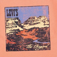 Levi's Big Boys Crew Neck Short Sleeve Graphic T-Shirt