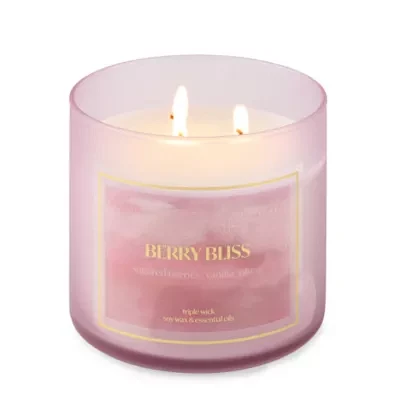 Distant Lands Berry Bliss Scented Jar Candle