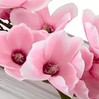 Linden Street Pink Magnolia Floral Arrangement
