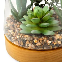Linden Street 7in Mixed Succulent Terrarium Artificial Plant