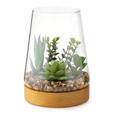Linden Street 7in Mixed Succulent Terrarium Artificial Plant