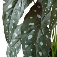 Linden Street 18.5in Polka Dot Begonia Artificial Plant