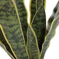 Linden Street 22.25in Snake Artificial Plant