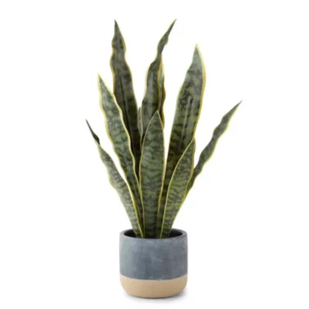Linden Street 22.25in Snake Artificial Plant