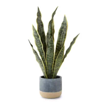 Linden Street 22.25in Snake Artificial Plant