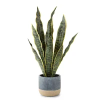 Linden Street 22.25in Snake Artificial Plant