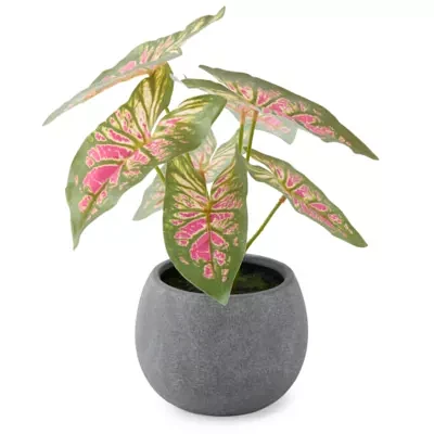 Linden Street 12in Pink Caladium Artificial Plant