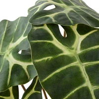 Linden Street 17in Alocasia Artificial Plant