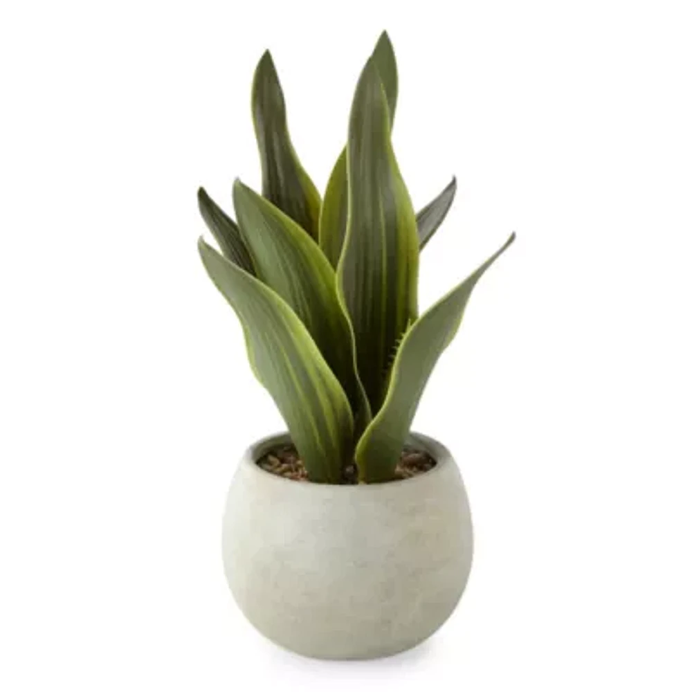 Linden Street 12in Snake Artificial Plant