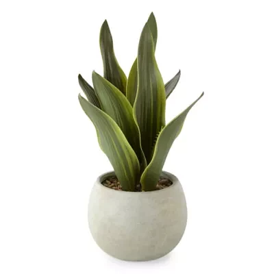 Linden Street 12in Snake Artificial Plant