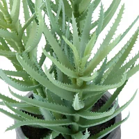 Linden Street 13.5in Aloe Artificial Plant