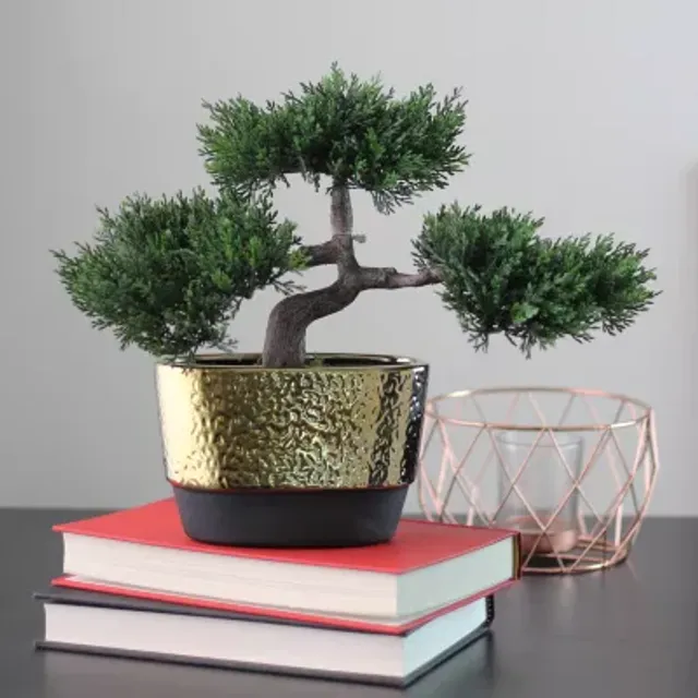 BONSAI - Grow Your Own Little Japanese Zen Garden : A Beginner's