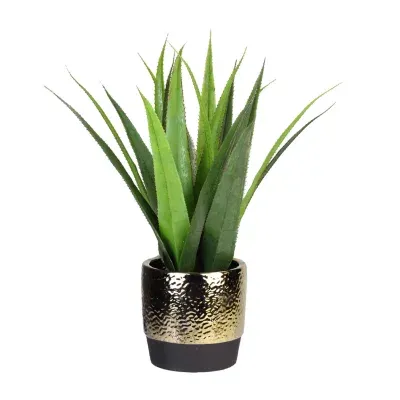 17'' Green and Gold Artificial Agave Succulent Plant in a Pot