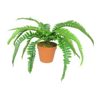 15.75'' Potted Artificial Long Green Boston Fern Plant