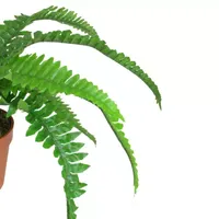 15.75'' Potted Artificial Long Green Boston Fern Plant