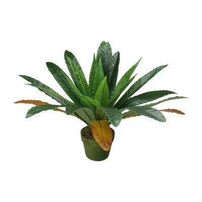 22'' Potted Artificial Green and Brown Bird Nest Fern Plant