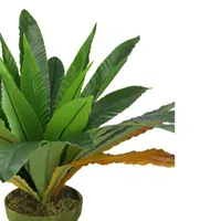 22'' Potted Artificial Green and Brown Bird Nest Fern Plant