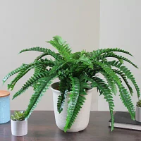 21'' Green and Cream White Boston Fern Artificial Potted Plant