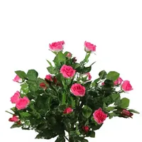 47'' Potted Green and Pink Artificial Rose Tree