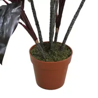 60'' Potted Green and Red Artificial Dracaena Plant